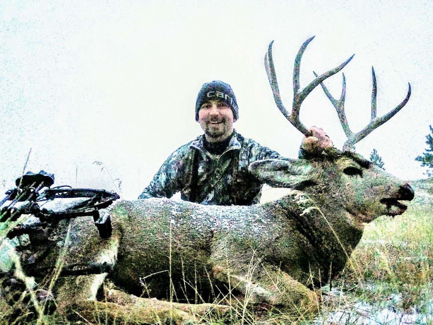 Hunting trophy